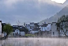 醬油該怎么挑選?加加醬油、千禾醬油、東古醬油哪家好:醬油
